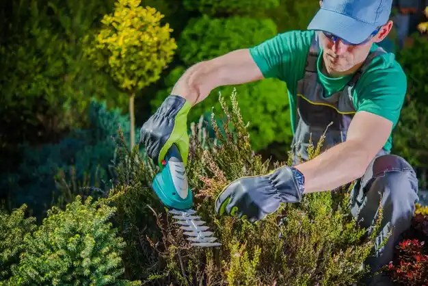 landscaping services Ripley